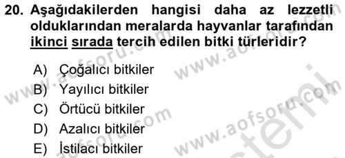 Ekoloji ve Çevre Bilgisi Dersi 2025 - 2026 Yılı (Vize) Ara Sınav Soruları 20. Soru