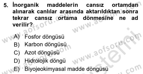 Ekoloji ve Çevre Bilgisi Dersi 2025 - 2026 Yılı (Vize) Ara Sınav Soruları 5. Soru