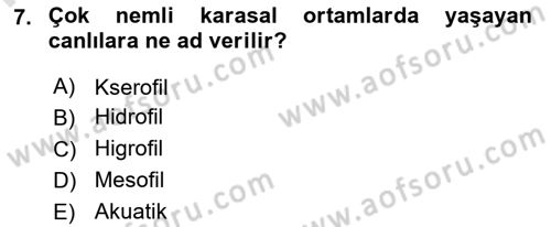 Ekoloji ve Çevre Bilgisi Dersi 2025 - 2026 Yılı (Vize) Ara Sınav Soruları 7. Soru