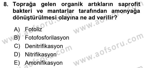 Ekoloji ve Çevre Bilgisi Dersi 2025 - 2026 Yılı (Vize) Ara Sınav Soruları 8. Soru