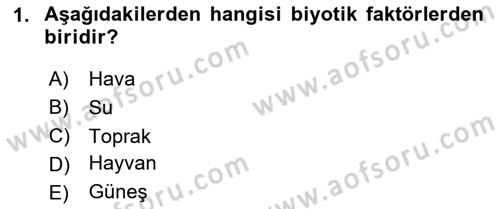 Ekoloji ve Çevre Bilgisi Dersi 2025 - 2026 Yılı (Final) Dönem Sonu Sınav Soruları 1. Soru