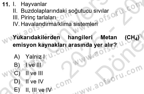 Ekoloji ve Çevre Bilgisi Dersi 2025 - 2026 Yılı (Final) Dönem Sonu Sınav Soruları 11. Soru