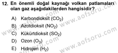 Ekoloji ve Çevre Bilgisi Dersi 2025 - 2026 Yılı (Final) Dönem Sonu Sınav Soruları 12. Soru