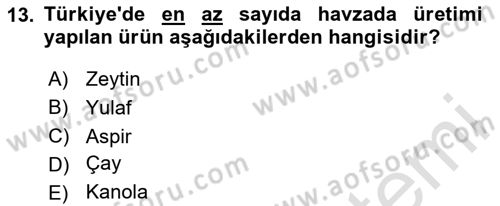 Ekoloji ve Çevre Bilgisi Dersi 2025 - 2026 Yılı (Final) Dönem Sonu Sınav Soruları 13. Soru