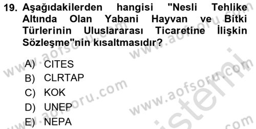 Ekoloji ve Çevre Bilgisi Dersi 2025 - 2026 Yılı (Final) Dönem Sonu Sınav Soruları 19. Soru