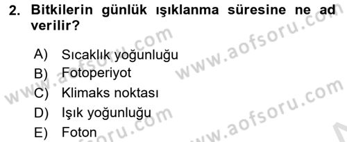 Ekoloji ve Çevre Bilgisi Dersi 2025 - 2026 Yılı (Final) Dönem Sonu Sınav Soruları 2. Soru