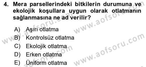Ekoloji ve Çevre Bilgisi Dersi 2025 - 2026 Yılı (Final) Dönem Sonu Sınav Soruları 4. Soru