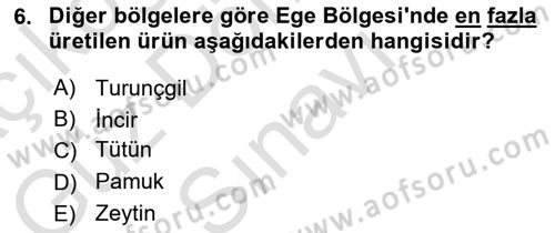 Ekoloji ve Çevre Bilgisi Dersi 2025 - 2026 Yılı (Final) Dönem Sonu Sınav Soruları 6. Soru