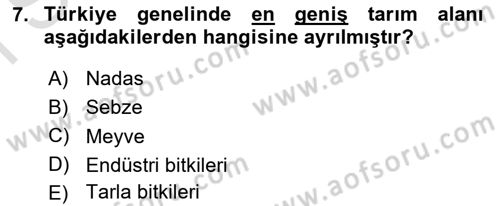 Ekoloji ve Çevre Bilgisi Dersi 2025 - 2026 Yılı (Final) Dönem Sonu Sınav Soruları 7. Soru