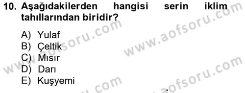 Tarla Bitkileri 1 Dersi 2012 - 2013 Yılı (Vize) Ara Sınav Soruları 10. Soru