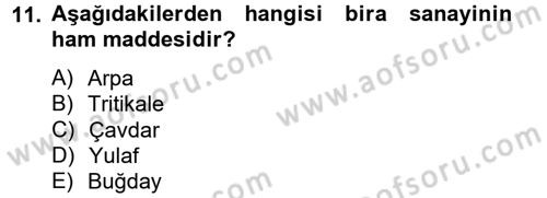 Tarla Bitkileri 1 Dersi 2012 - 2013 Yılı (Vize) Ara Sınav Soruları 11. Soru