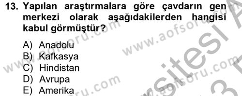 Tarla Bitkileri 1 Dersi 2012 - 2013 Yılı (Vize) Ara Sınav Soruları 13. Soru