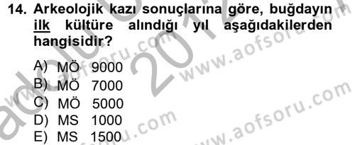 Tarla Bitkileri 1 Dersi 2012 - 2013 Yılı (Vize) Ara Sınav Soruları 14. Soru