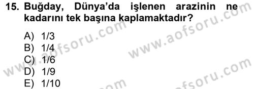 Tarla Bitkileri 1 Dersi 2012 - 2013 Yılı (Vize) Ara Sınav Soruları 15. Soru