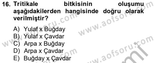 Tarla Bitkileri 1 Dersi 2012 - 2013 Yılı (Vize) Ara Sınav Soruları 16. Soru