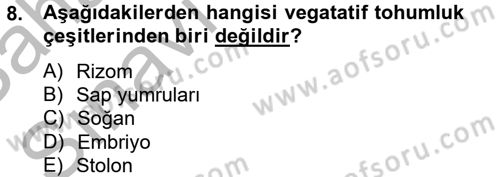 Tarla Bitkileri 1 Dersi 2012 - 2013 Yılı (Vize) Ara Sınav Soruları 8. Soru