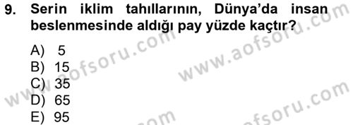 Tarla Bitkileri 1 Dersi 2012 - 2013 Yılı (Vize) Ara Sınav Soruları 9. Soru