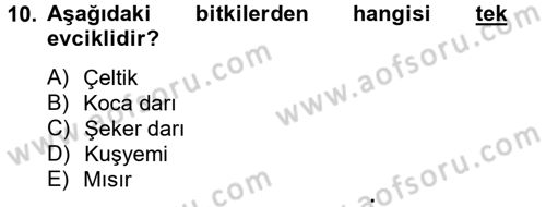 Tarla Bitkileri 1 Dersi 2012 - 2013 Yılı (Final) Dönem Sonu Sınav Soruları 10. Soru