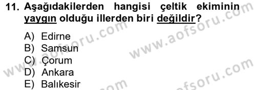 Tarla Bitkileri 1 Dersi 2012 - 2013 Yılı (Final) Dönem Sonu Sınav Soruları 11. Soru