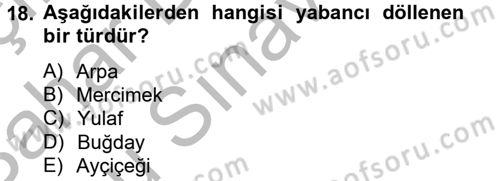 Tarla Bitkileri 1 Dersi 2012 - 2013 Yılı (Final) Dönem Sonu Sınav Soruları 18. Soru
