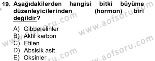 Tarla Bitkileri 1 Dersi 2012 - 2013 Yılı (Final) Dönem Sonu Sınav Soruları 19. Soru