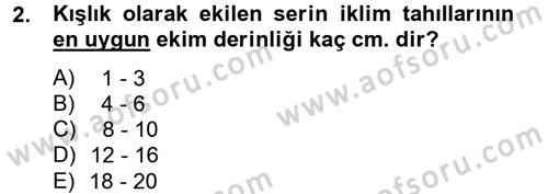 Tarla Bitkileri 1 Dersi 2012 - 2013 Yılı (Final) Dönem Sonu Sınav Soruları 2. Soru