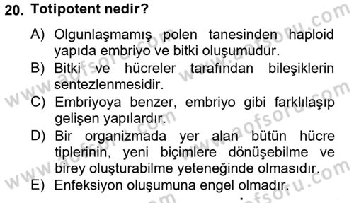 Tarla Bitkileri 1 Dersi 2012 - 2013 Yılı (Final) Dönem Sonu Sınav Soruları 20. Soru