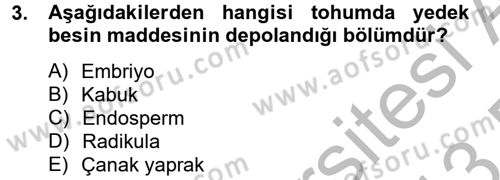 Tarla Bitkileri 1 Dersi 2012 - 2013 Yılı (Final) Dönem Sonu Sınav Soruları 3. Soru