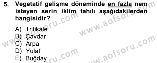 Tarla Bitkileri 1 Dersi 2012 - 2013 Yılı (Final) Dönem Sonu Sınav Soruları 5. Soru