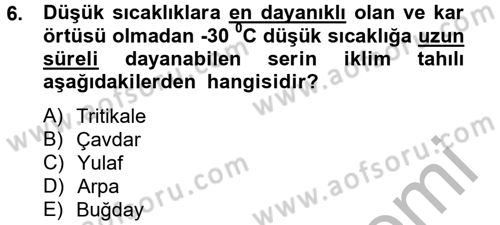 Tarla Bitkileri 1 Dersi 2012 - 2013 Yılı (Final) Dönem Sonu Sınav Soruları 6. Soru