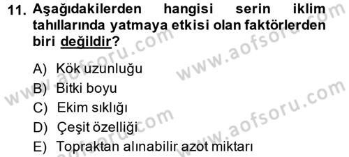 Tarla Bitkileri 1 Dersi 2013 - 2014 Yılı (Vize) Ara Sınav Soruları 11. Soru