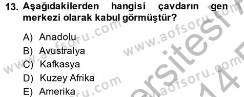 Tarla Bitkileri 1 Dersi 2013 - 2014 Yılı (Vize) Ara Sınav Soruları 13. Soru