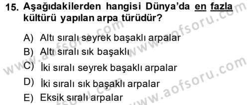 Tarla Bitkileri 1 Dersi 2013 - 2014 Yılı (Vize) Ara Sınav Soruları 15. Soru