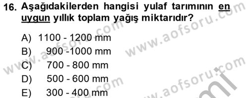 Tarla Bitkileri 1 Dersi 2013 - 2014 Yılı (Vize) Ara Sınav Soruları 16. Soru