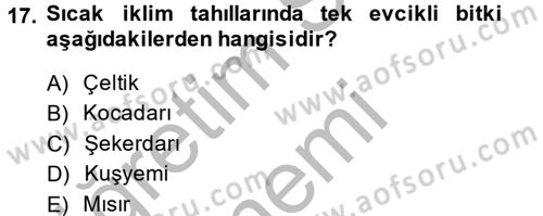 Tarla Bitkileri 1 Dersi 2013 - 2014 Yılı (Vize) Ara Sınav Soruları 17. Soru