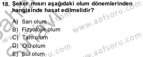 Tarla Bitkileri 1 Dersi 2013 - 2014 Yılı (Vize) Ara Sınav Soruları 18. Soru