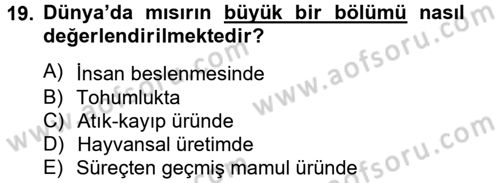 Tarla Bitkileri 1 Dersi 2013 - 2014 Yılı (Vize) Ara Sınav Soruları 19. Soru
