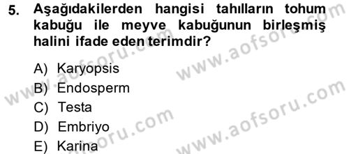 Tarla Bitkileri 1 Dersi 2013 - 2014 Yılı (Vize) Ara Sınav Soruları 5. Soru