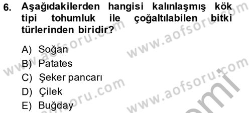 Tarla Bitkileri 1 Dersi 2013 - 2014 Yılı (Vize) Ara Sınav Soruları 6. Soru