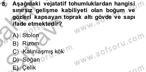 Tarla Bitkileri 1 Dersi 2013 - 2014 Yılı (Vize) Ara Sınav Soruları 8. Soru