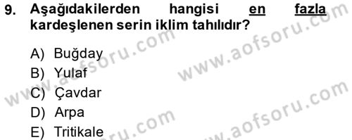 Tarla Bitkileri 1 Dersi 2013 - 2014 Yılı (Vize) Ara Sınav Soruları 9. Soru