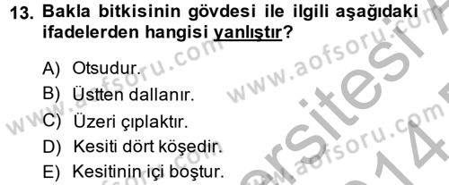 Tarla Bitkileri 1 Dersi 2013 - 2014 Yılı (Final) Dönem Sonu Sınav Soruları 13. Soru