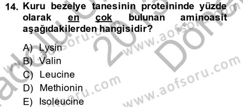 Tarla Bitkileri 1 Dersi 2013 - 2014 Yılı (Final) Dönem Sonu Sınav Soruları 14. Soru