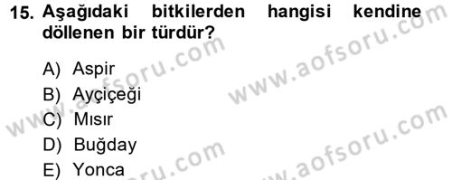 Tarla Bitkileri 1 Dersi 2013 - 2014 Yılı (Final) Dönem Sonu Sınav Soruları 15. Soru