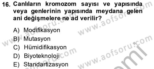 Tarla Bitkileri 1 Dersi 2013 - 2014 Yılı (Final) Dönem Sonu Sınav Soruları 16. Soru