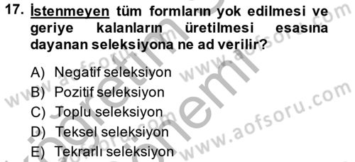 Tarla Bitkileri 1 Dersi 2013 - 2014 Yılı (Final) Dönem Sonu Sınav Soruları 17. Soru