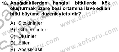 Tarla Bitkileri 1 Dersi 2013 - 2014 Yılı (Final) Dönem Sonu Sınav Soruları 18. Soru