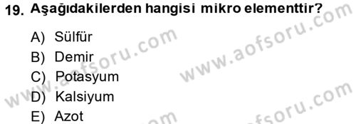 Tarla Bitkileri 1 Dersi 2013 - 2014 Yılı (Final) Dönem Sonu Sınav Soruları 19. Soru