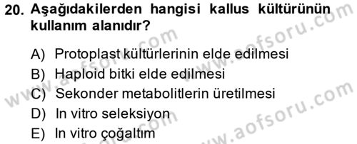 Tarla Bitkileri 1 Dersi 2013 - 2014 Yılı (Final) Dönem Sonu Sınav Soruları 20. Soru