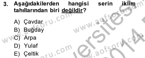 Tarla Bitkileri 1 Dersi 2013 - 2014 Yılı (Final) Dönem Sonu Sınav Soruları 3. Soru